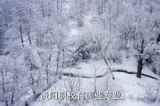  贵阳职校有哪些专业