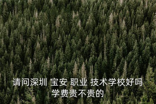请问深圳 宝安 职业 技术学校好吗学费贵不贵的