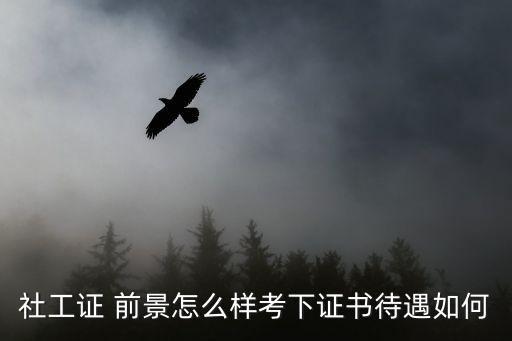 社会工作者职业前景