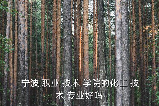 宁波职业技术学院什么专业好