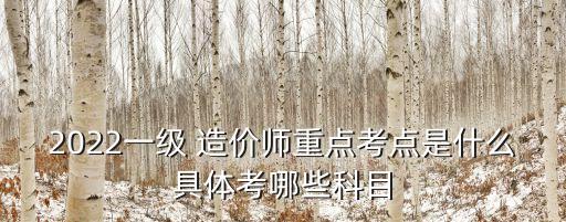 2022一级 造价师重点考点是什么具体考哪些科目