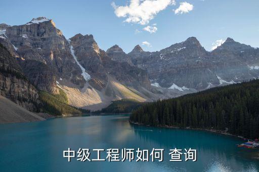 中级工程师如何 查询