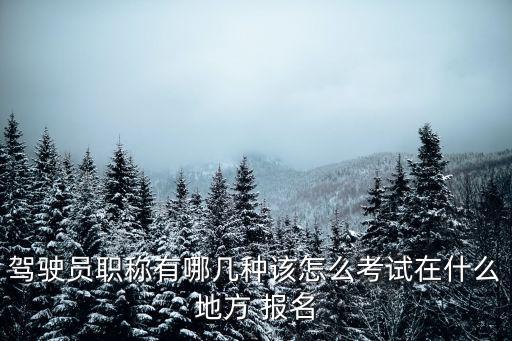 驾驶员职称有哪几种该怎么考试在什么地方 报名