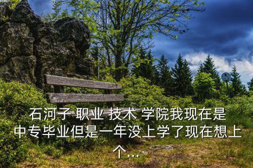 石河子中专职业技术学院,新疆石河子职业技术学院