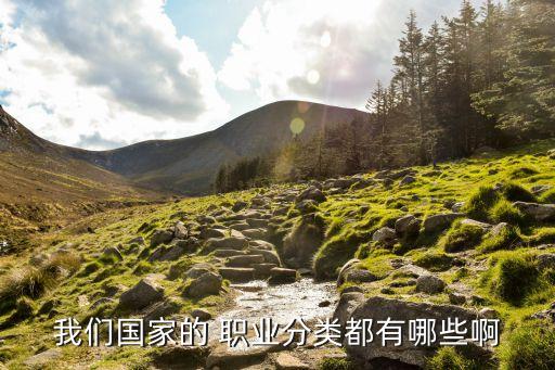我们国家的 职业分类都有哪些啊