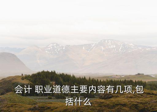 会计职业道德特征的有,简述会计职业道德行为的特征