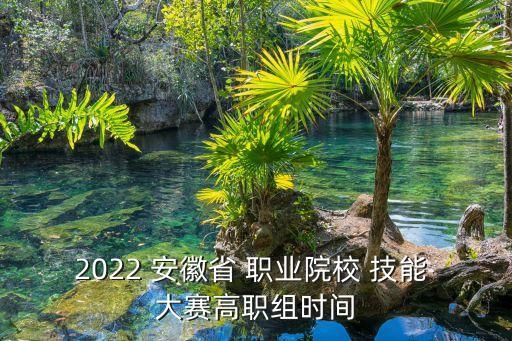2022 安徽省 职业院校 技能 大赛高职组时间
