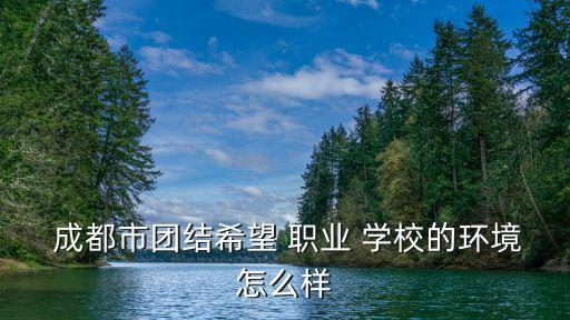  成都市团结希望 职业 学校的环境怎么样