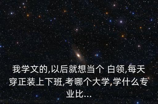 我学文的,以后就想当个 白领,每天穿正装上下班,考哪个大学,学什么专业比...