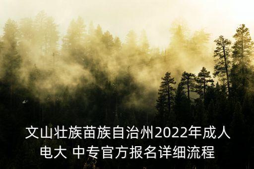  文山壮族苗族自治州2022年成人电大 中专官方报名详细流程