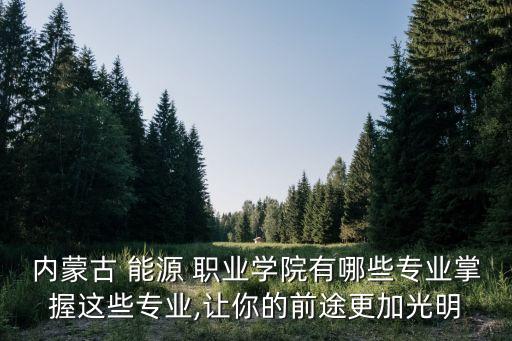 内蒙古 能源 职业学院有哪些专业掌握这些专业,让你的前途更加光明