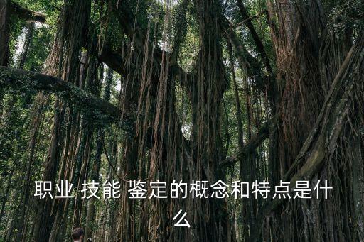  职业 技能 鉴定的概念和特点是什么