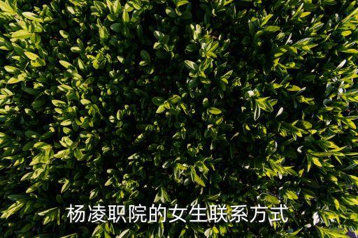 杨凌职院的女生联系方式