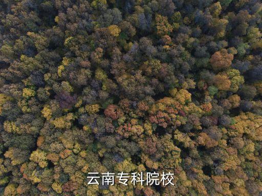 云南省文山州职业学院,文山州体育职业学院