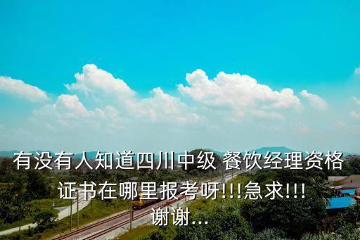 有没有人知道四川中级 餐饮经理资格 证书在哪里报考呀!!!急求!!!谢谢...