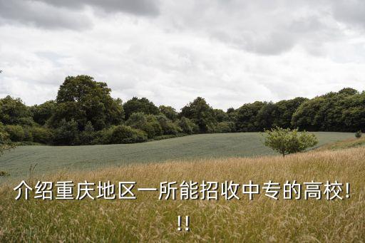 介绍重庆地区一所能招收中专的高校!!!