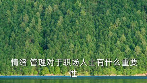 《职业压力与情绪管理》通讯稿