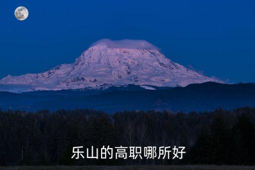  乐山的高职哪所好