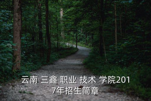 云南省三鑫职业技术学院