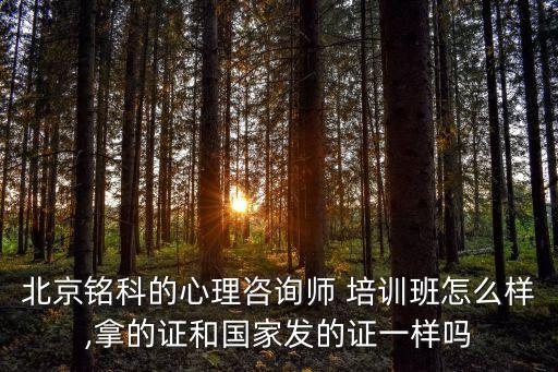 北京铭科的心理咨询师 培训班怎么样,拿的证和国家发的证一样吗