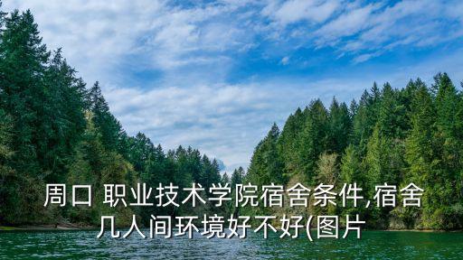  周口 职业技术学院宿舍条件,宿舍几人间环境好不好(图片