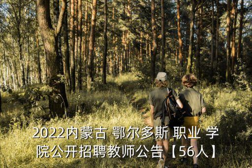 鄂尔多斯职业学院考的计算机二级,武汉软件工程职业学院计算机二级
