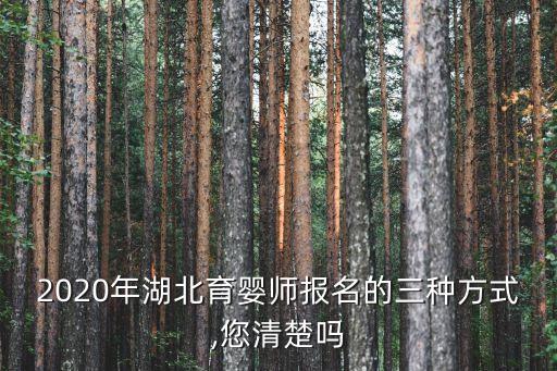 湖北省技能职业鉴定指导中心,福建省职业鉴定技能指导中心证书查询