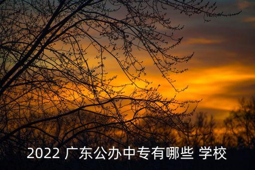 广东工业贸易职业学校地址,肇庆市工业贸易学校地址