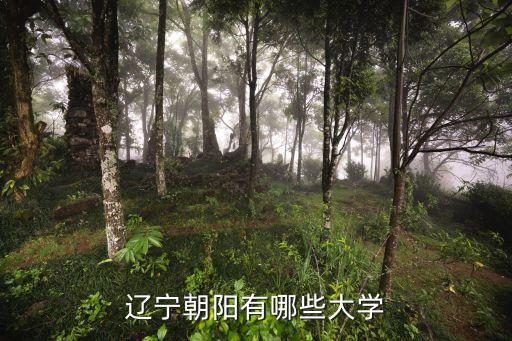 辽宁朝阳有哪些大学
