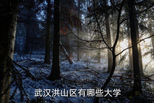 武汉建设职业技术学院地址电话号码,广东清远市建设职业技术学院电话号码