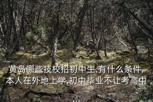 黄岛哪些技校招初中生,有什么条件,本人在外地上学,初中毕业不让考高中...