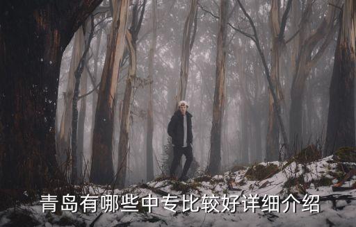青岛的职业高中