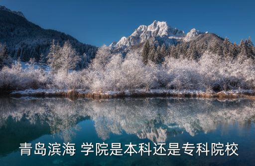  青岛滨海 学院是本科还是专科院校