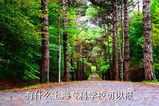 有什么上海专科学校可以报