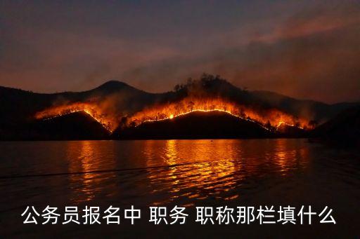 公务员报名中 职务 职称那栏填什么