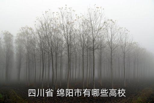 四川省 绵阳市有哪些高校