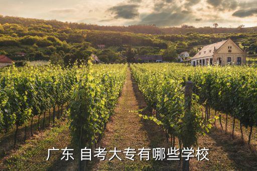广东 自考大专有哪些学校