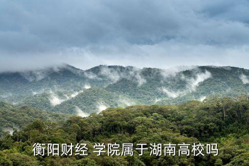  衡阳财经 学院属于湖南高校吗