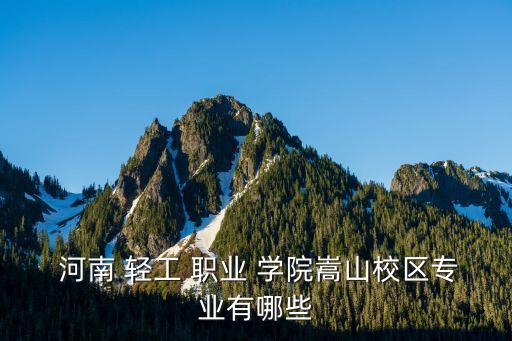  河南 轻工 职业 学院嵩山校区专业有哪些
