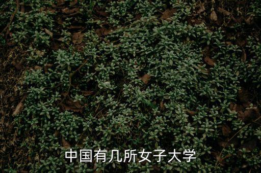 中国有几所女子大学