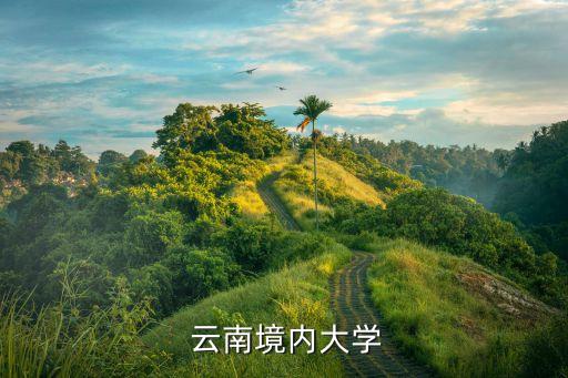  云南境内大学