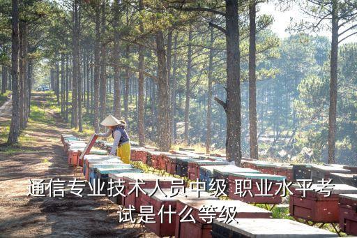  通信专业技术人员中级 职业水平考试是什么等级