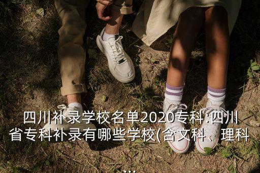 四川工商职业技术学院录取查询