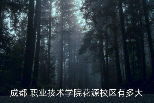 成都 职业技术学院花源校区有多大