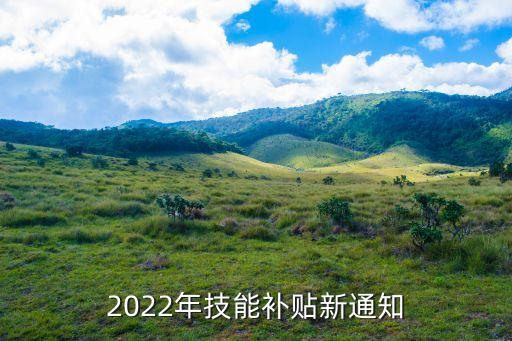 2022年技能补贴新通知