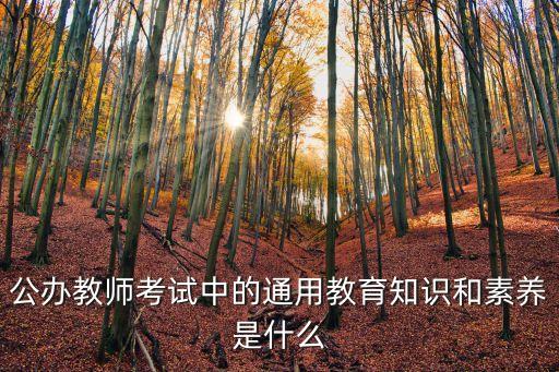 公办教师考试中的通用教育知识和素养是什么