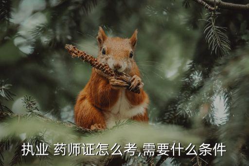 执业 药师证怎么考,需要什么条件