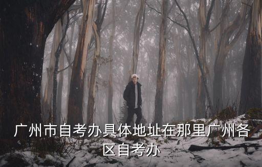  广州市自考办具体地址在那里广州各区自考办