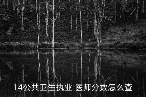 14公共卫生执业 医师分数怎么查
