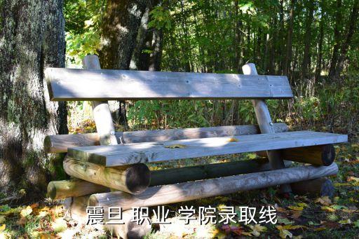  震旦 职业 学院录取线